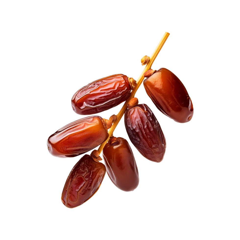 Branch of dates fruits on transparent background png
