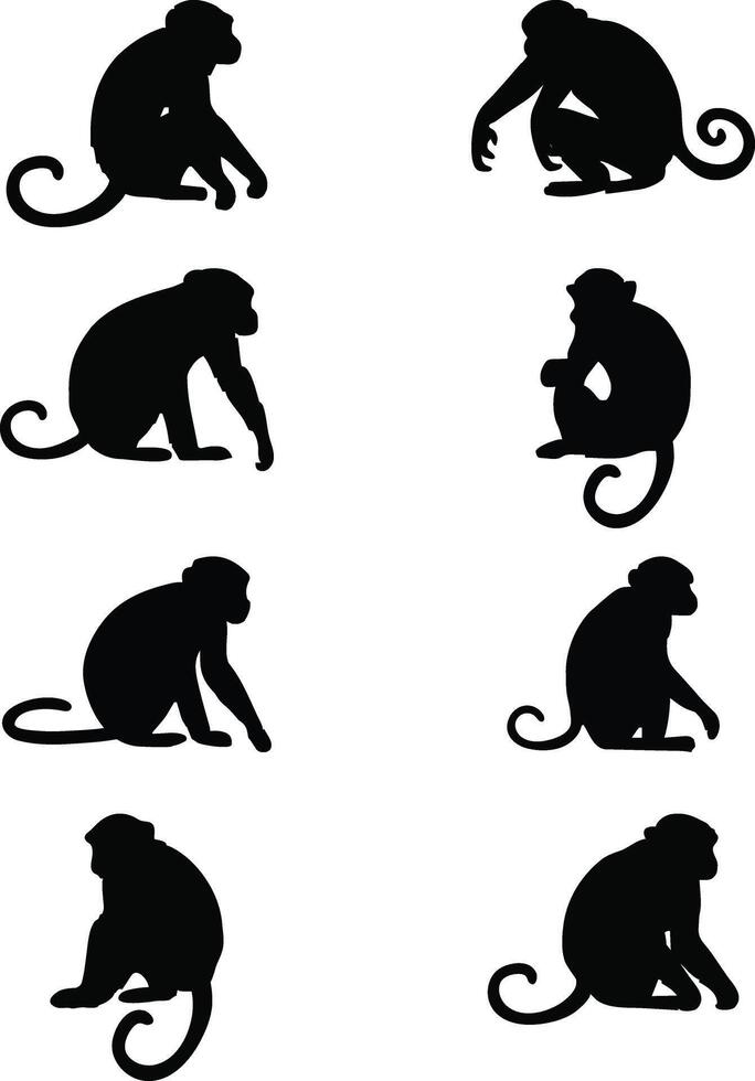 Collection of monkey silhouette designs vector