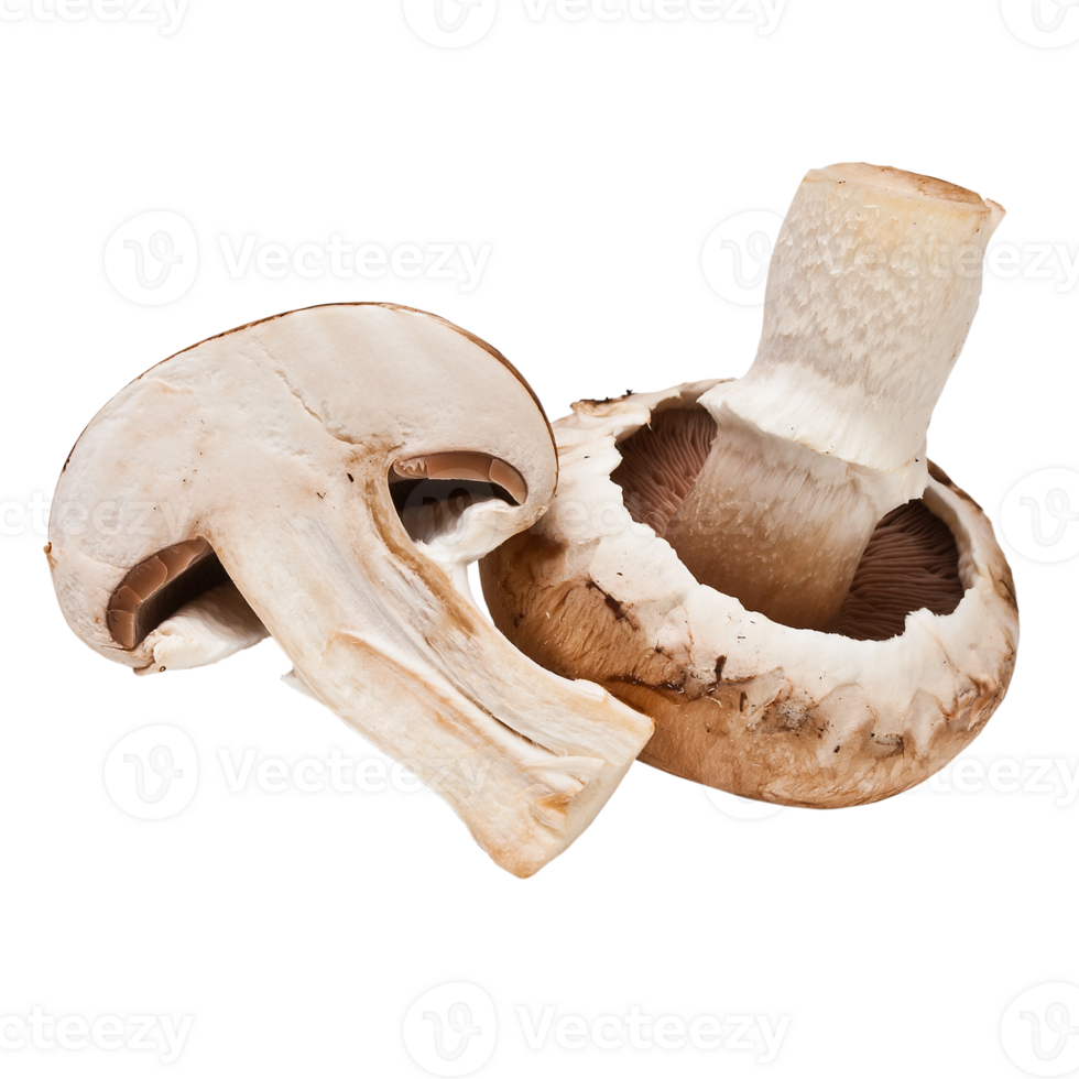 Fresh brown champignon mushrooms png