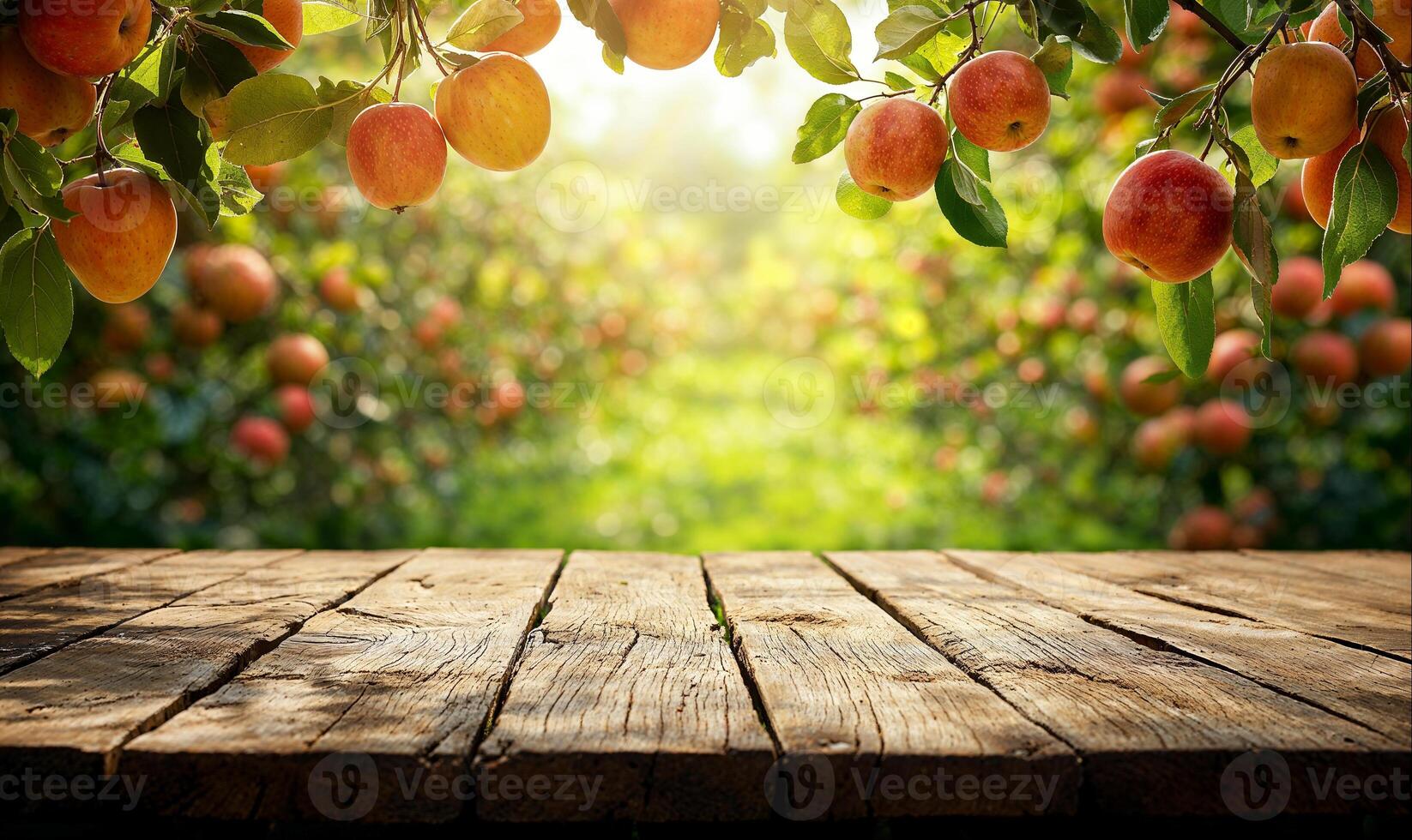 Empty wooden table and apple tree branches frame, fruit orchard background photo