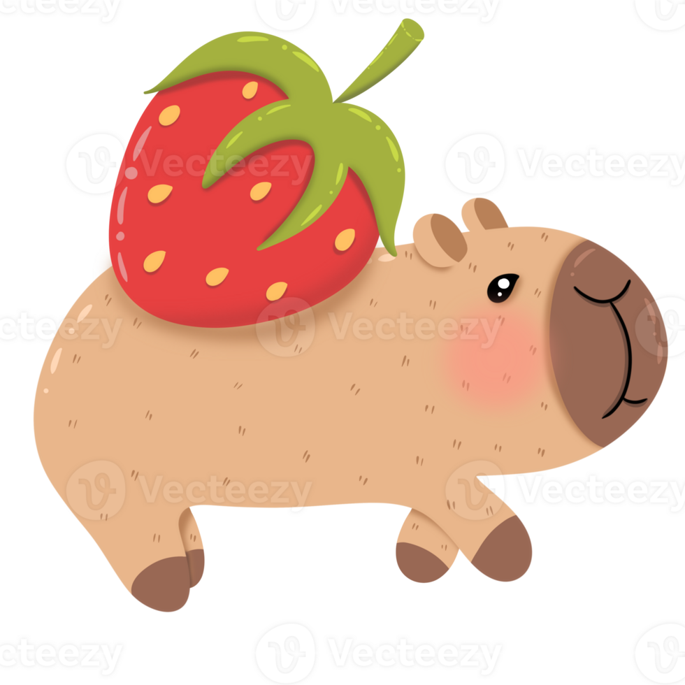 Capybara with strawberries on the back png