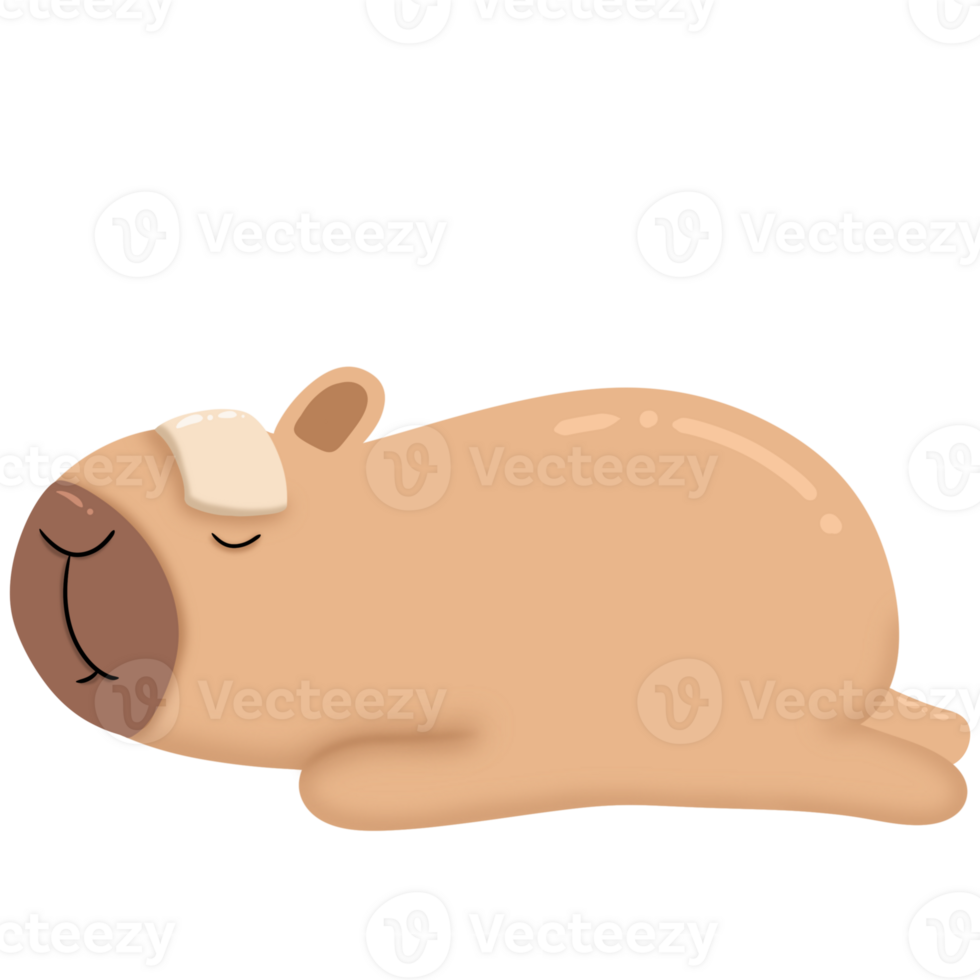Capybara is not feeling well. png