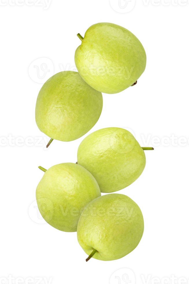Falling Guava, cutout, full depth of field png