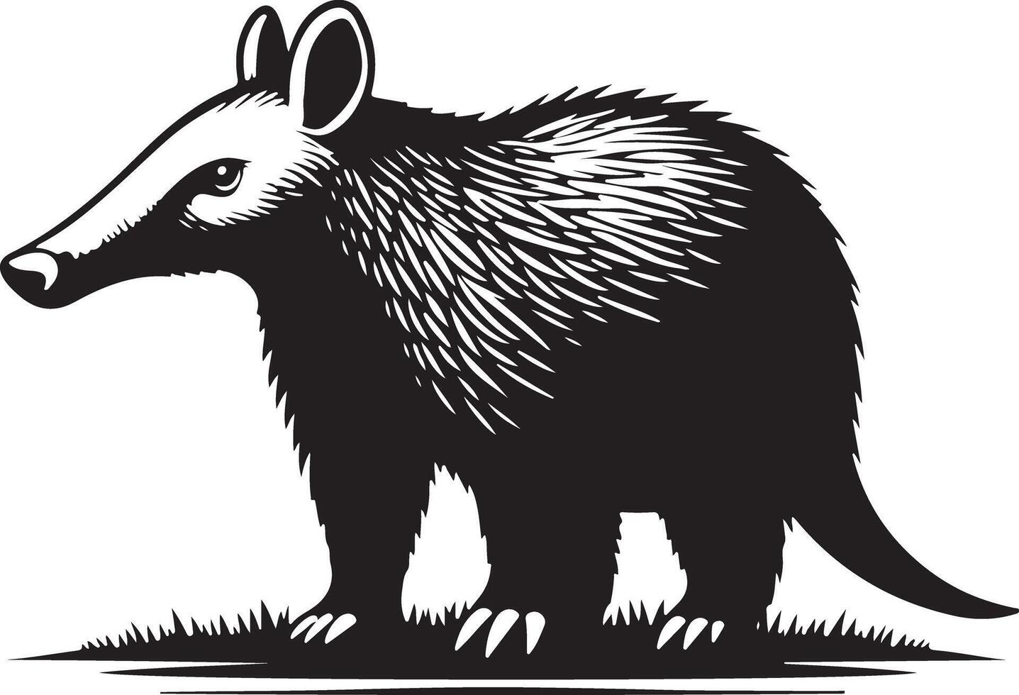 Aardvark illustration silhouette cute animal drawing graphic art design isolated on white vector