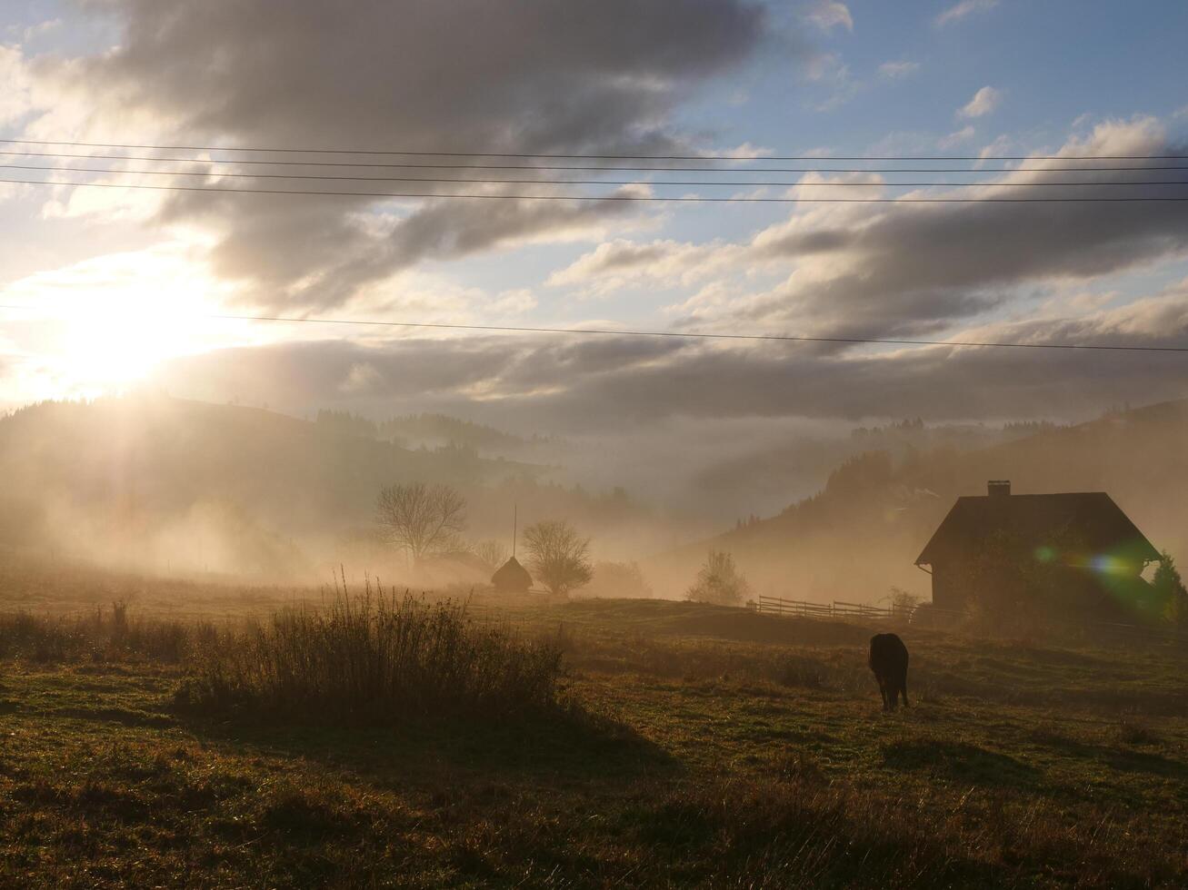 A field with grass photo