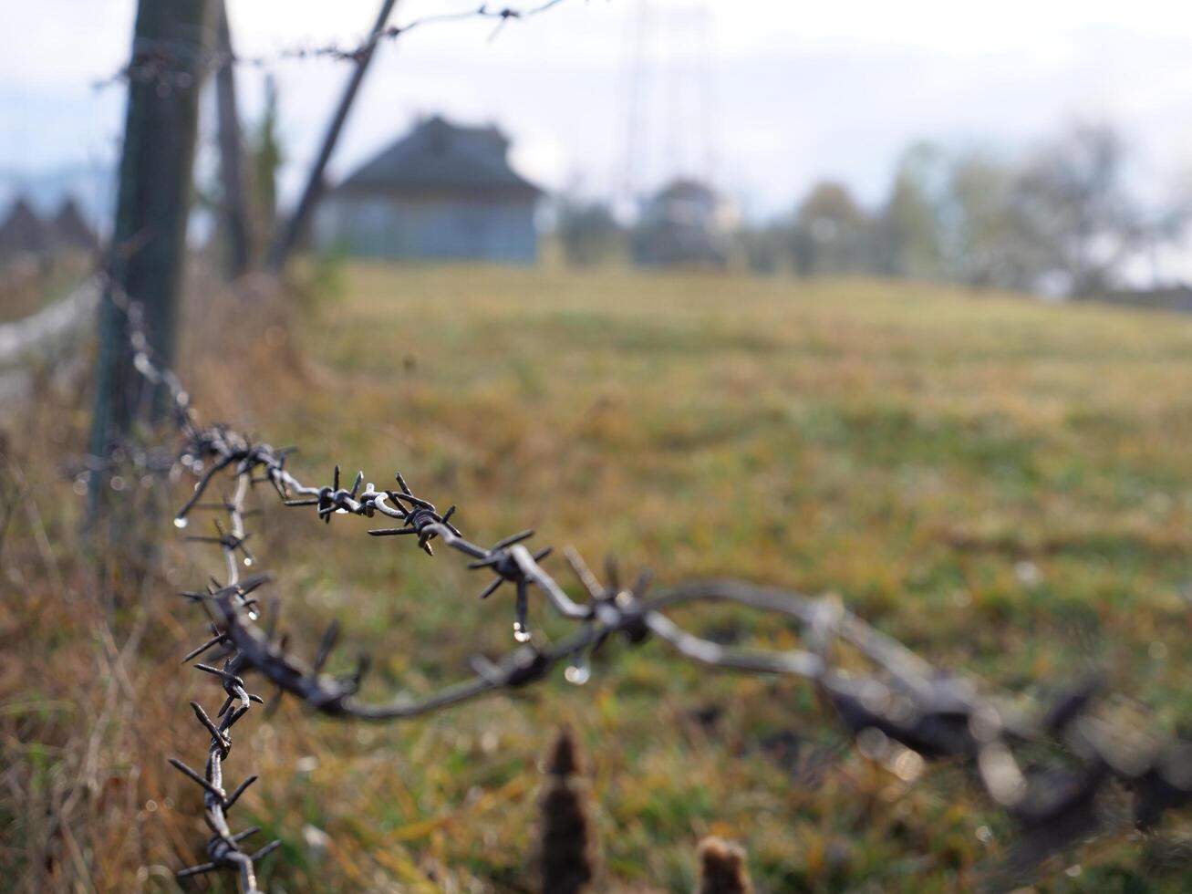 A fence with barbed wire in the grass photo