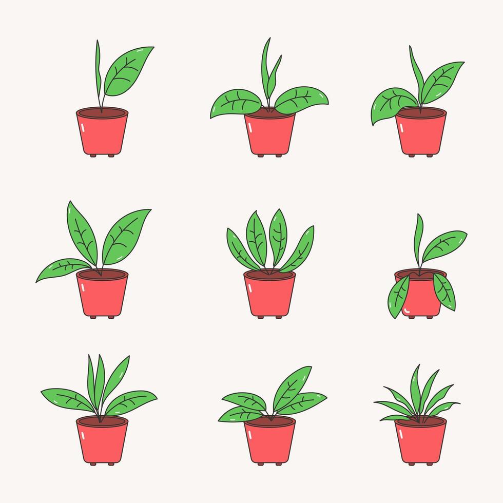Potted plant icon collection. flat style elements. cartoon isolated illustration vector