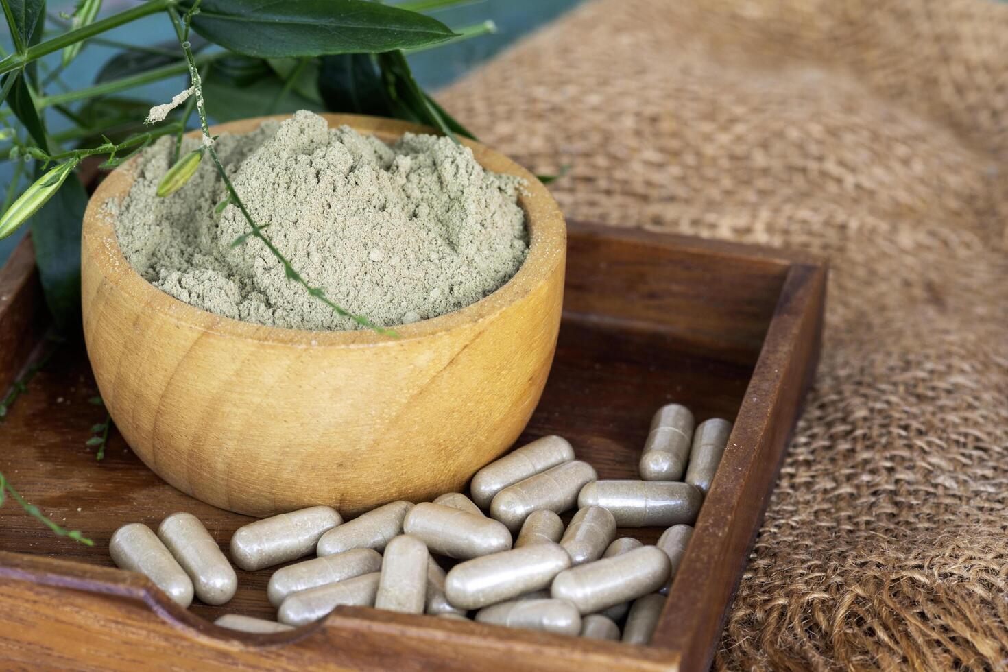 Andrographis paniculata extracts in woodle bowl with herbal capsules and leaves photo