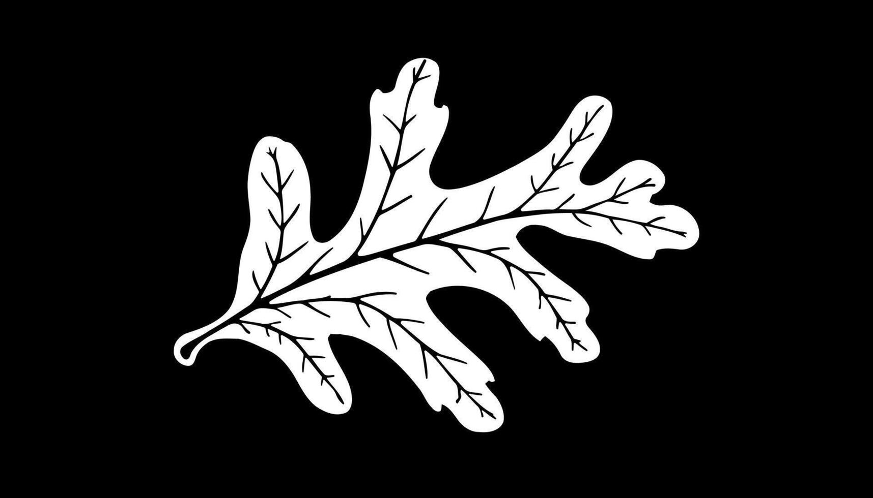 The stylized white oak leaf on a black background vector