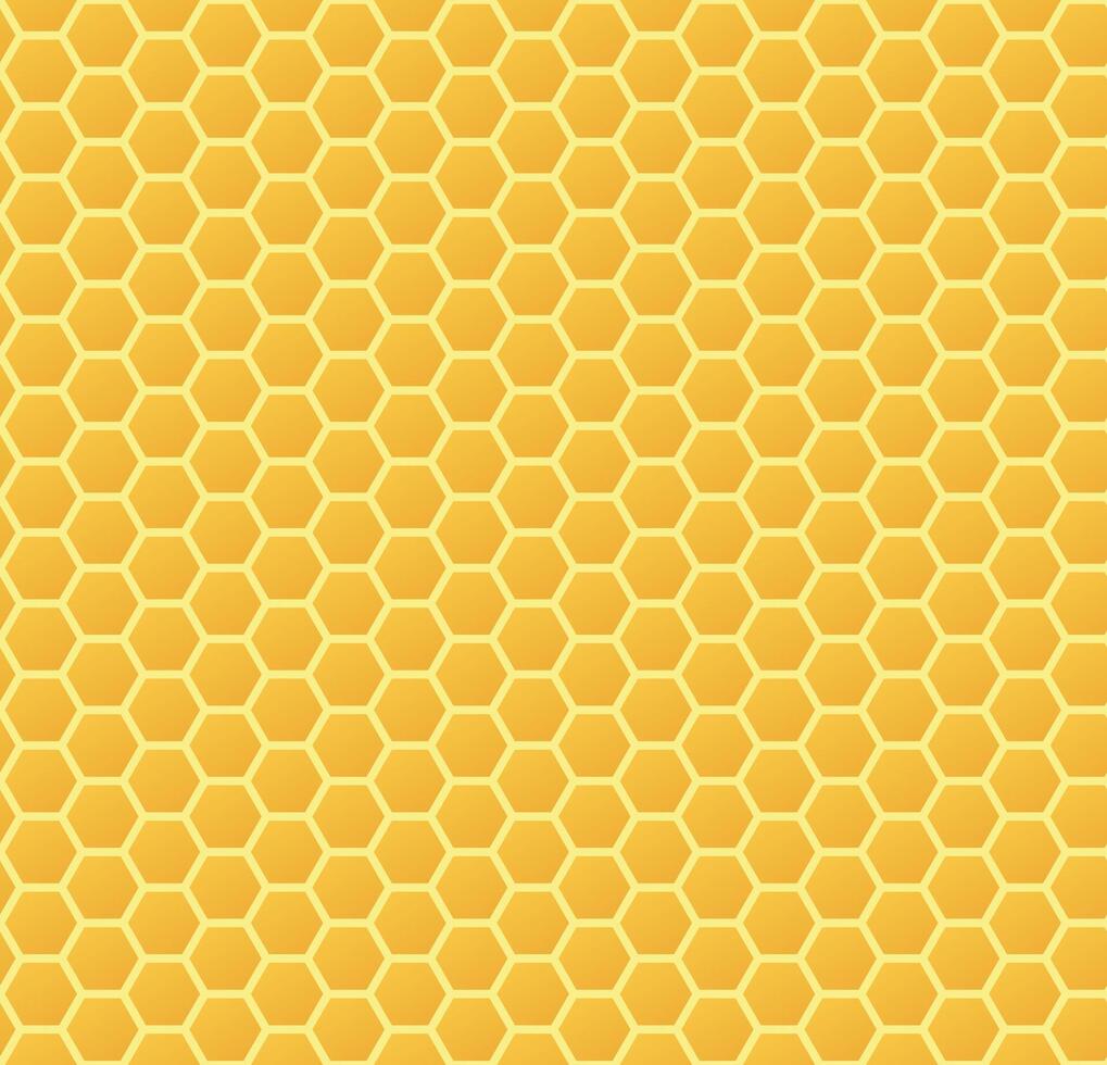 honeycomb pattern, color illustration of hexagonal cells, seamless repeatable texture background vector