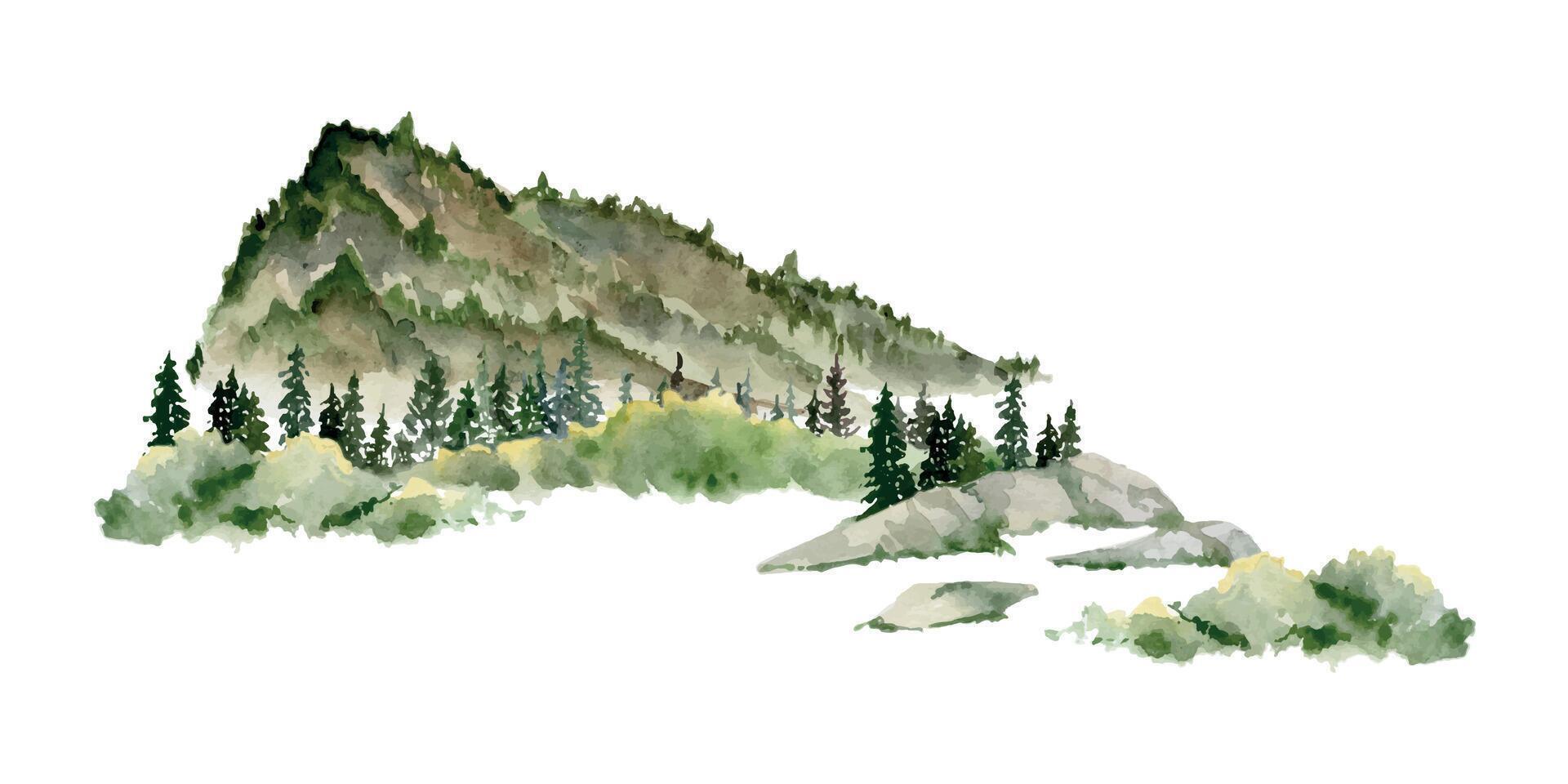 Scenery landscape coniferous forest fir spruce trees, mountains fields hills pasture land alpine vista, hand drawn in watercolor. Illustration for tourism, resort ads, hiking camping sites, vacation. vector