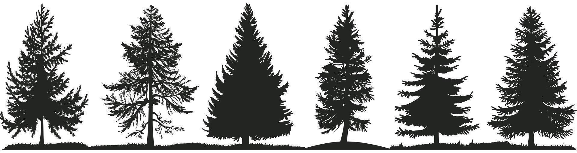 Silhouettes of various evergreen trees set against a light background. vector
