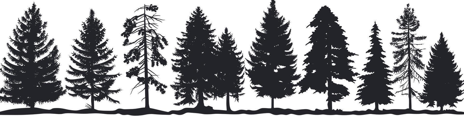 Silhouette of various pine trees standing tall against a white background, capturing nature's diversity and elegance. vector