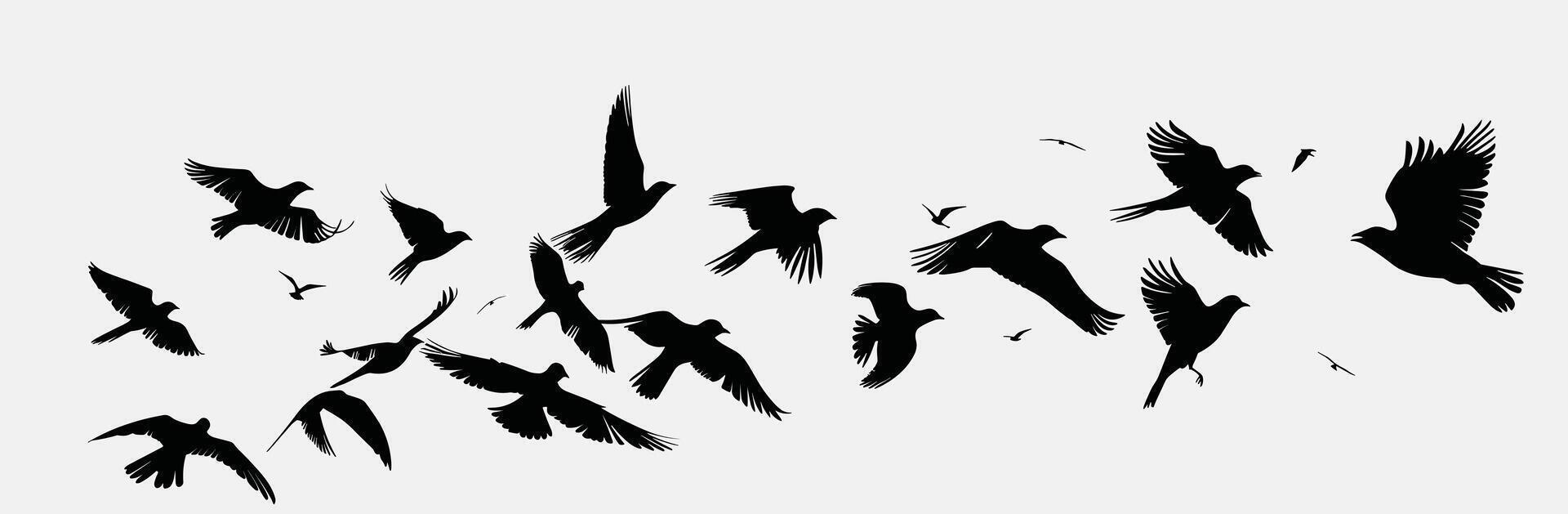 Silhouettes of birds in flight against a white sky, showcasing freedom and movement. vector