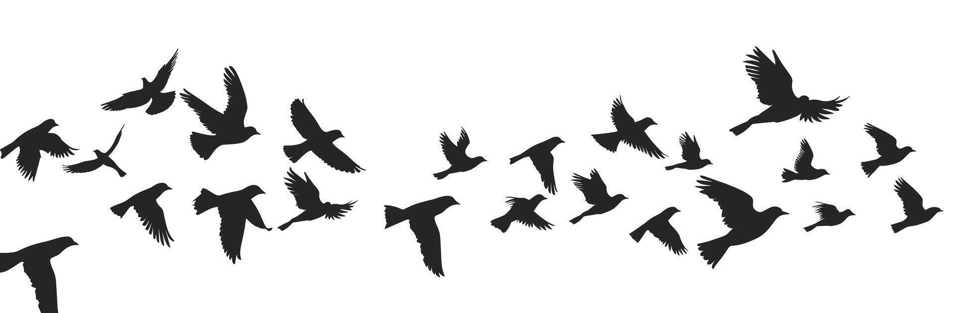 Silhouettes of birds in flight against a bright white sky, creating a sense of freedom and movement. vector