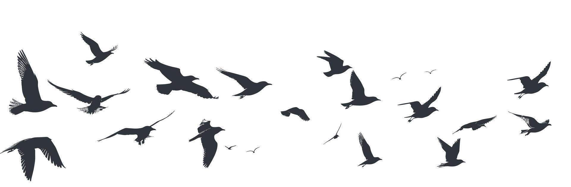 Silhouettes of birds in flight against a minimalistic white background. vector