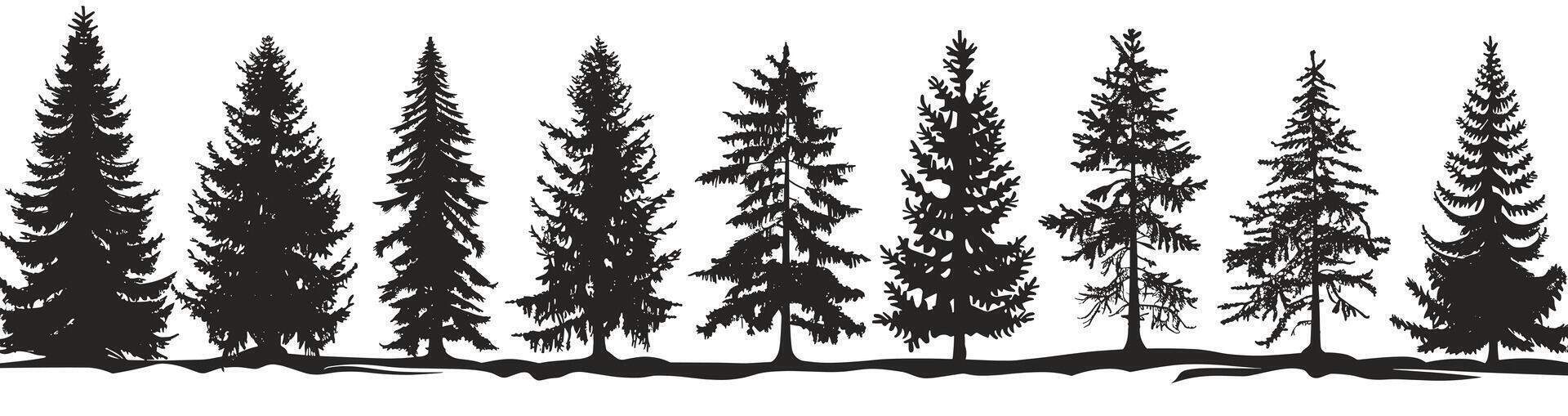 Silhouettes of evergreen trees standing tall against a white background, showcasing diverse shapes and sizes. vector