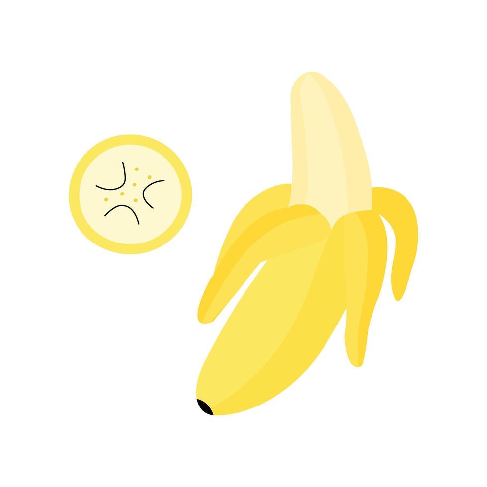 Illustration of a peeled banana with banana slice, showing details of texture and seeds. vector