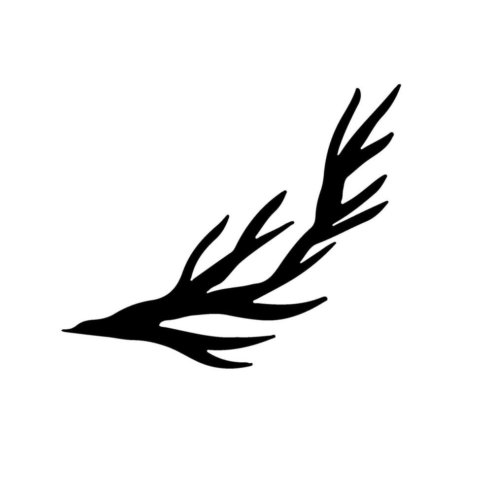 Dill. graphics with the image of fennel greens. A black silhouette illustration of healthy food, made by hand. On a white background. For menus, posters or labels. For cooking recipes, packages vector