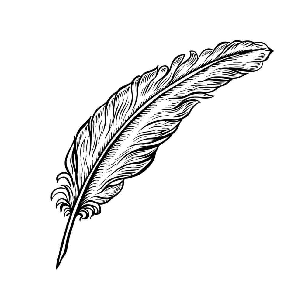 A quill pen for the manuscript. black and white hand-drawn graphics on a white background. An element of the design of invitations, greeting cards, and postcards. For posters, posters, and more vector