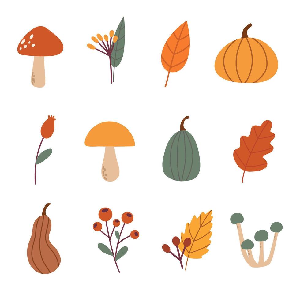 Autumn poster template. Set of trendy minimal autumn banner. Autumn leaves, mushrooms, pumpkins. Fall background, cover, sale vector