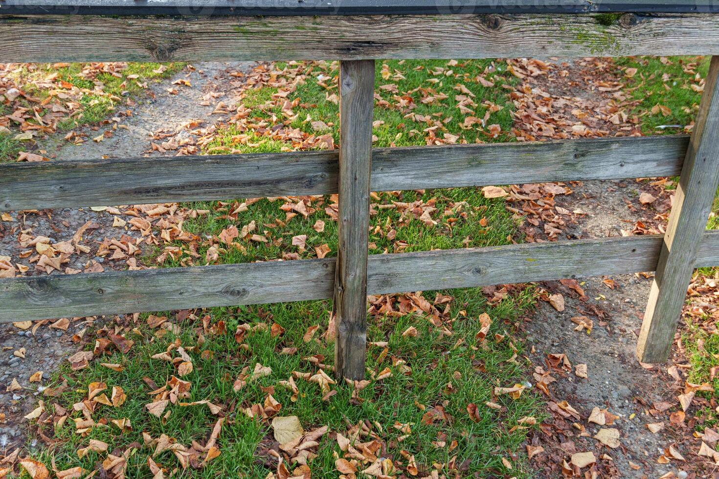 fence in the village of weseke photo