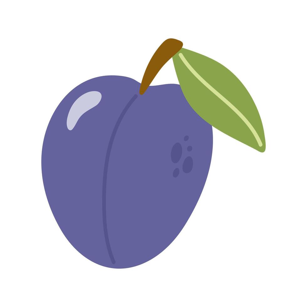Summer juicy purple plum with leaf. Hand drawn cartoon fruit illustration. vector