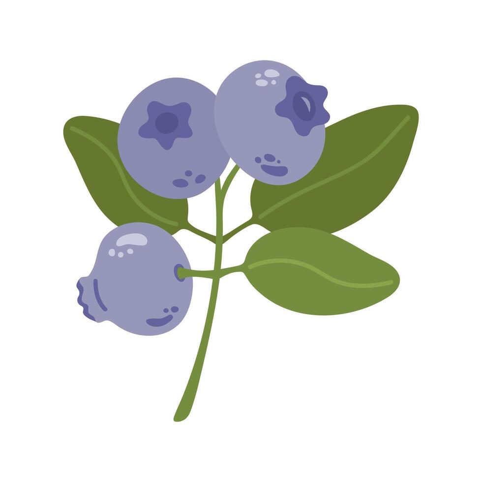 Summer blueberries with leaves. Hand drawn cartoon berries illustration. vector