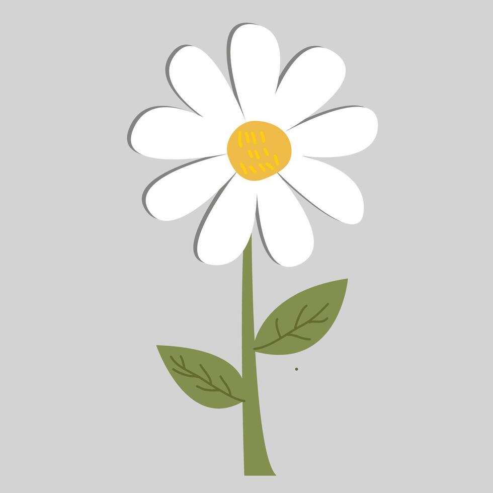 Daisy flower Clipart vector