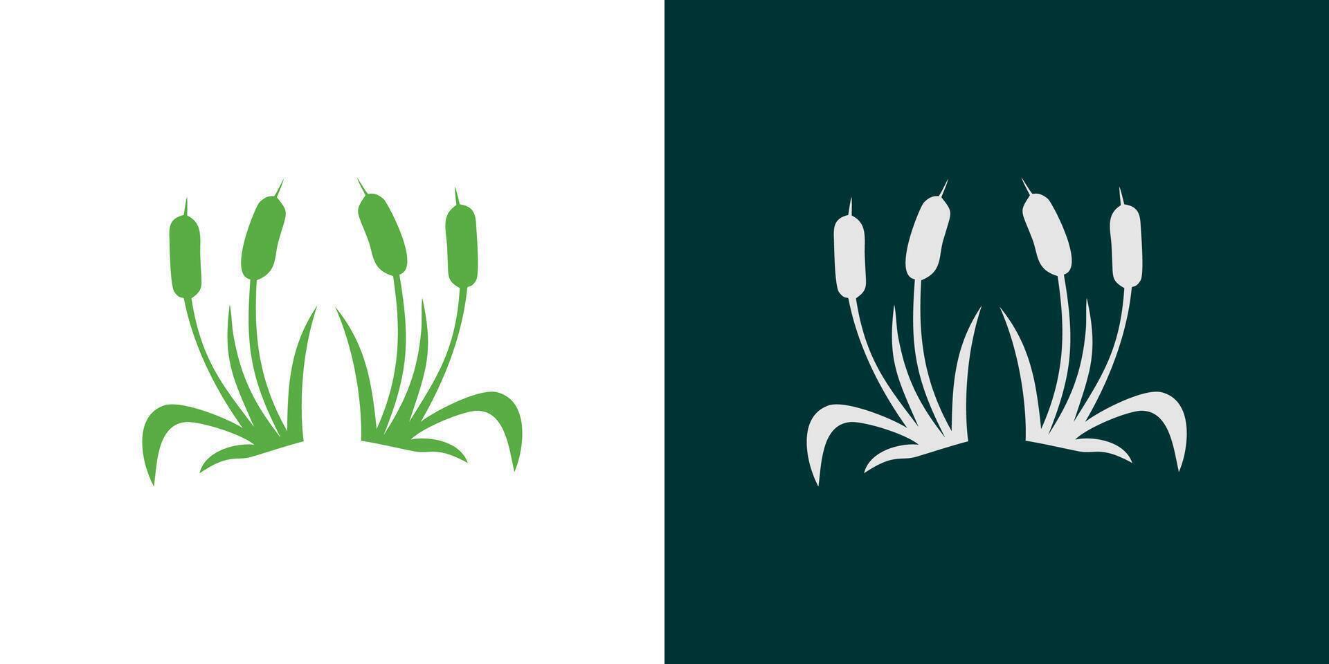 Cattail typha icon background grass template flower design isolated vector