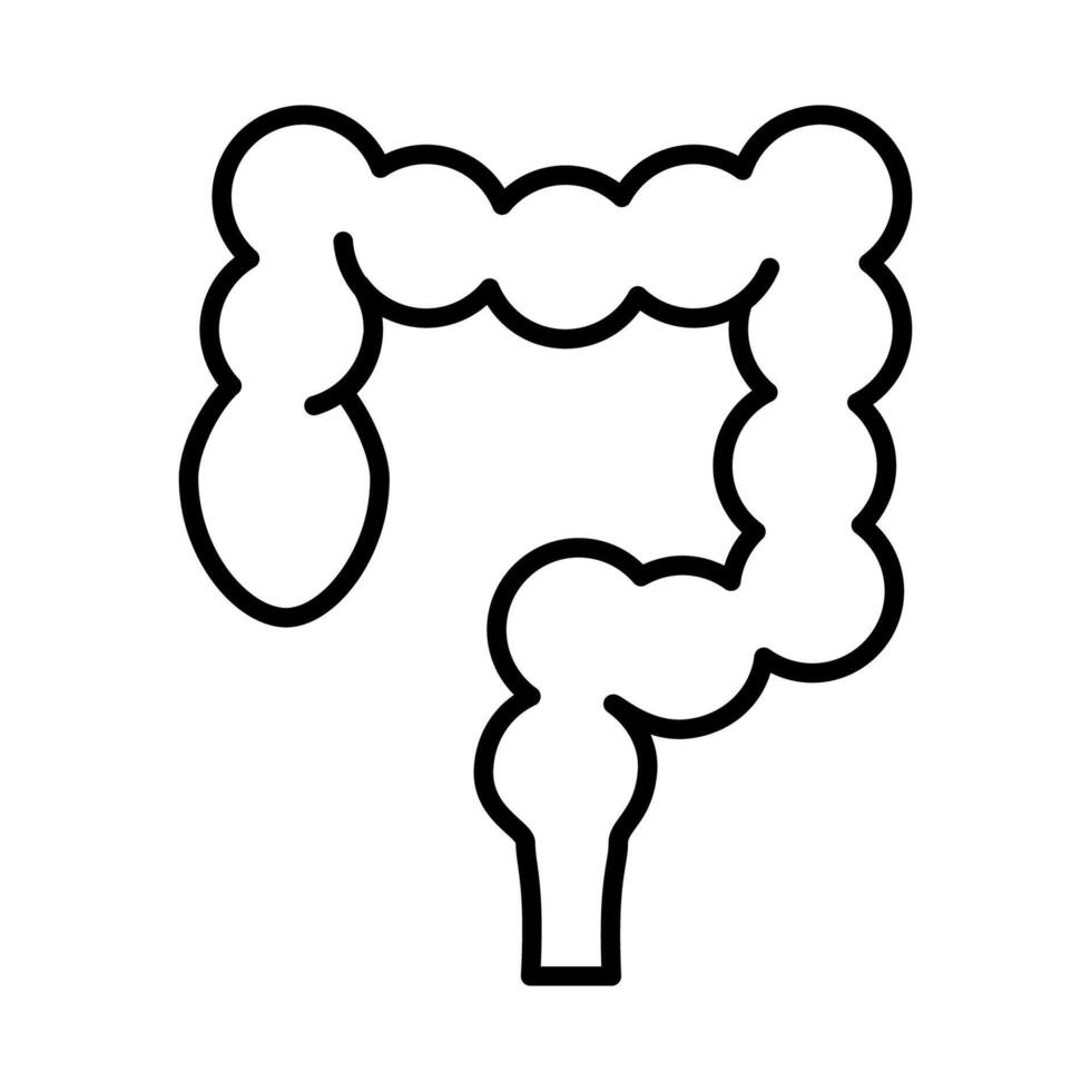 Simple Line Drawing of Intestine vector