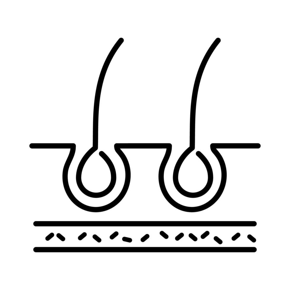 Minimalist Hair Follicle Diagram vector