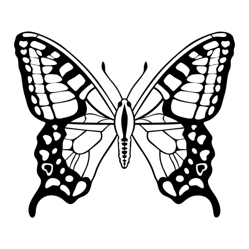 Black and white butterfly flat otline vector