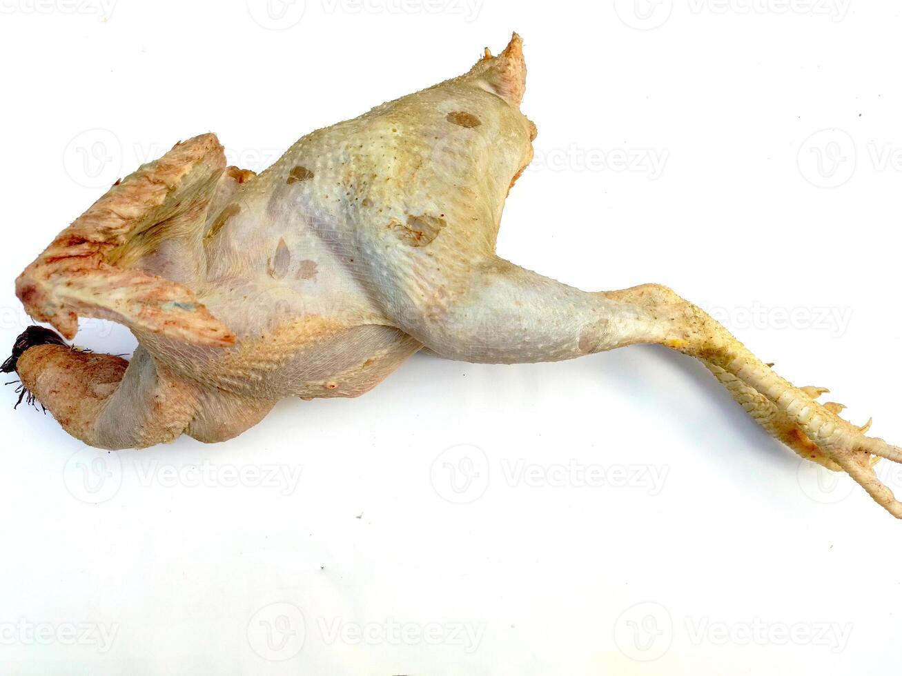 Uncooked White Roast Duckling photo