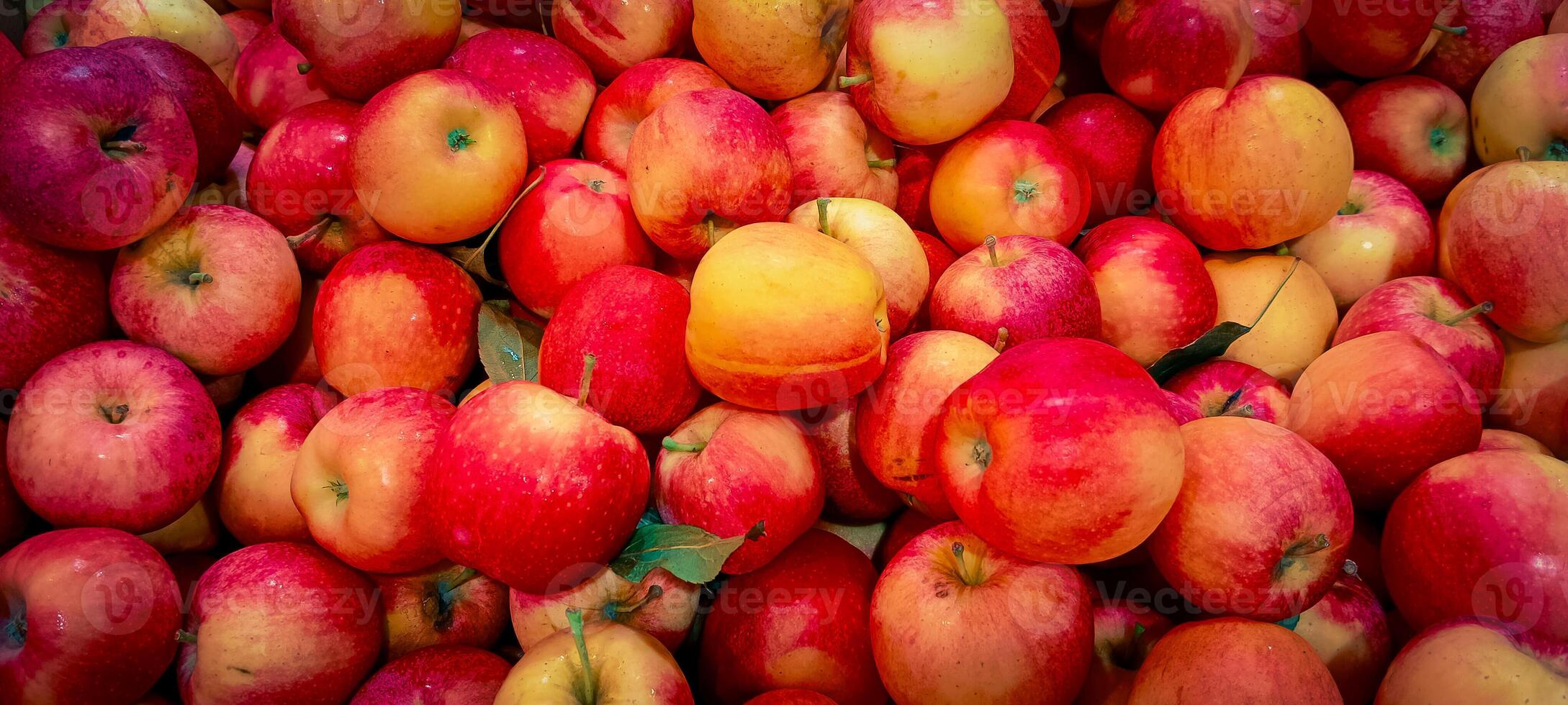 Box of shiny red apples photo