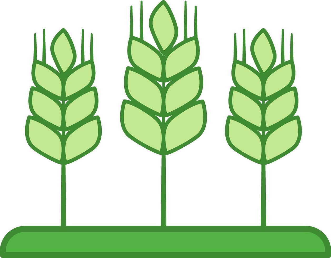 Green Harvest Icon. Icon of Wheat Spikelets Growing in a Field. Organic Farming Concept vector
