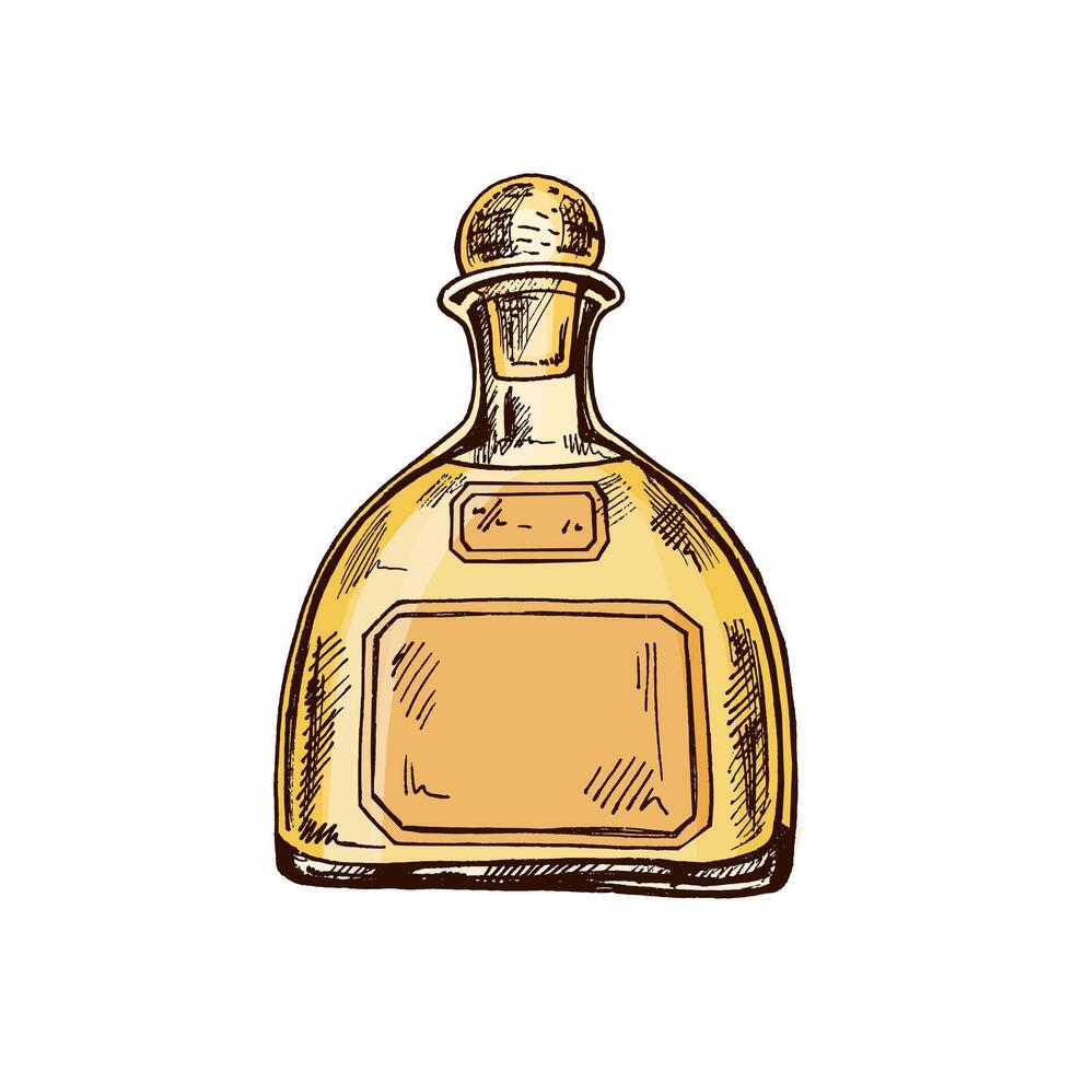 Hand-drawn colored bottle of tequila. Design element for the menu of bars and restaurants, alcohol stores. sketch illustration in engraving style. Mexican, Latin America. vector