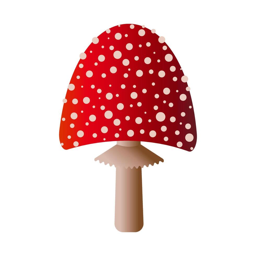Spotted red fly agaric mushroom isolated on white background. vector