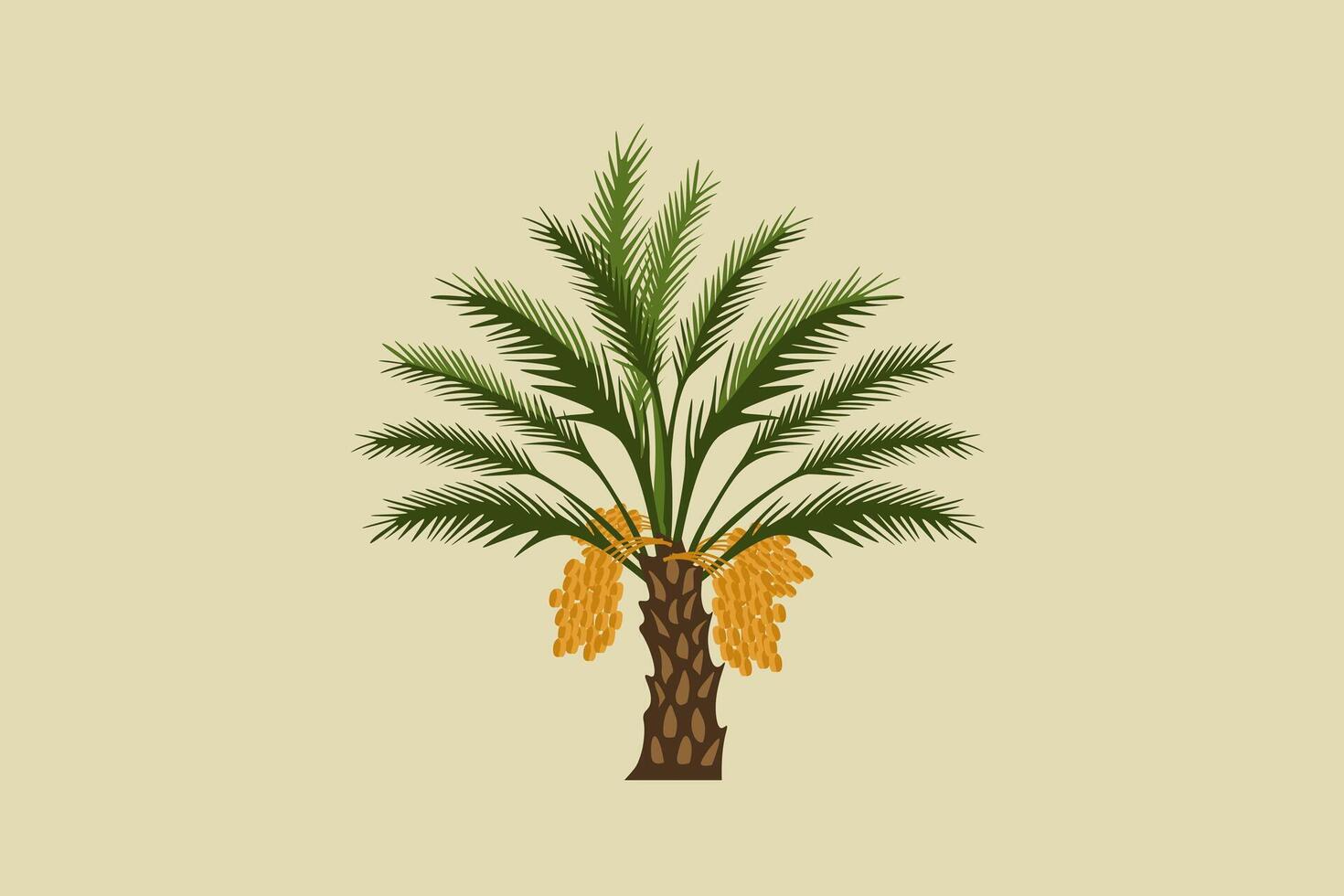 Date palm with fruit vector