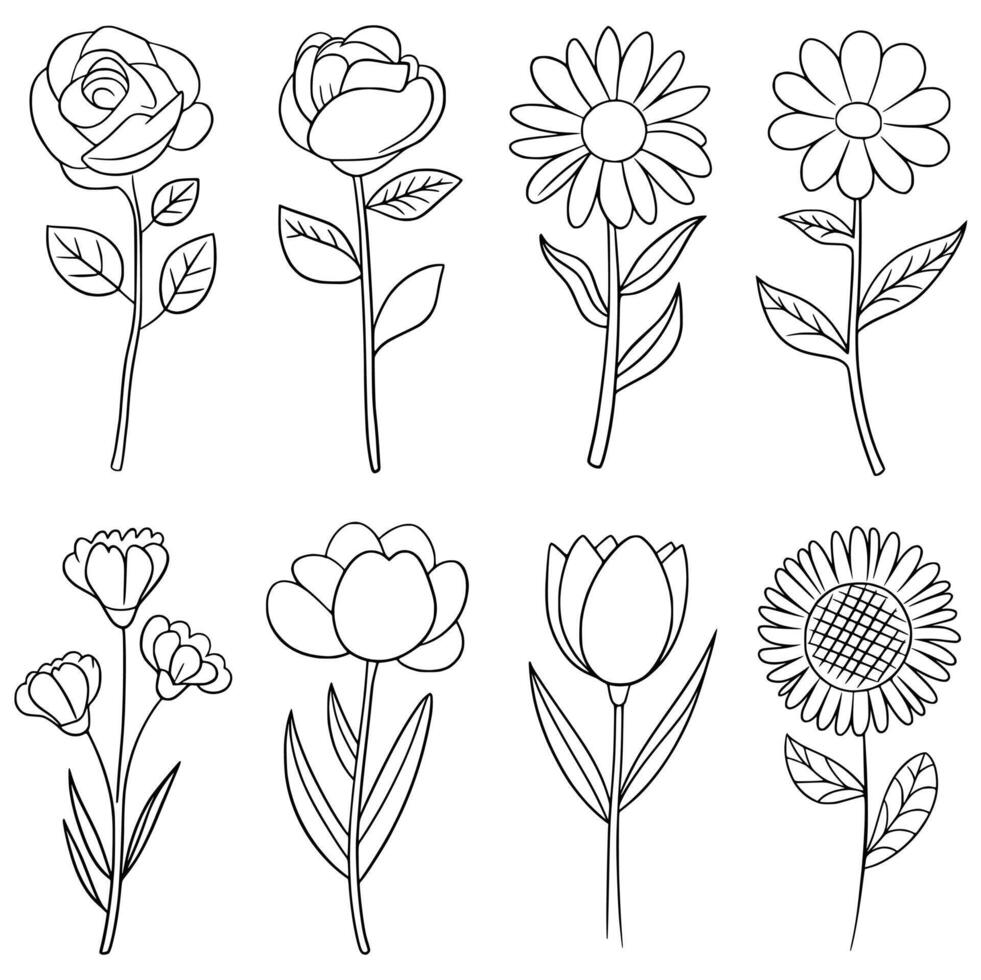 Hand-Drawn Flower Illustrations Clipart vector