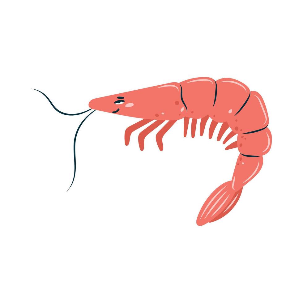 Cute shrimp on white. Character in children's style. Isolated illustration. vector