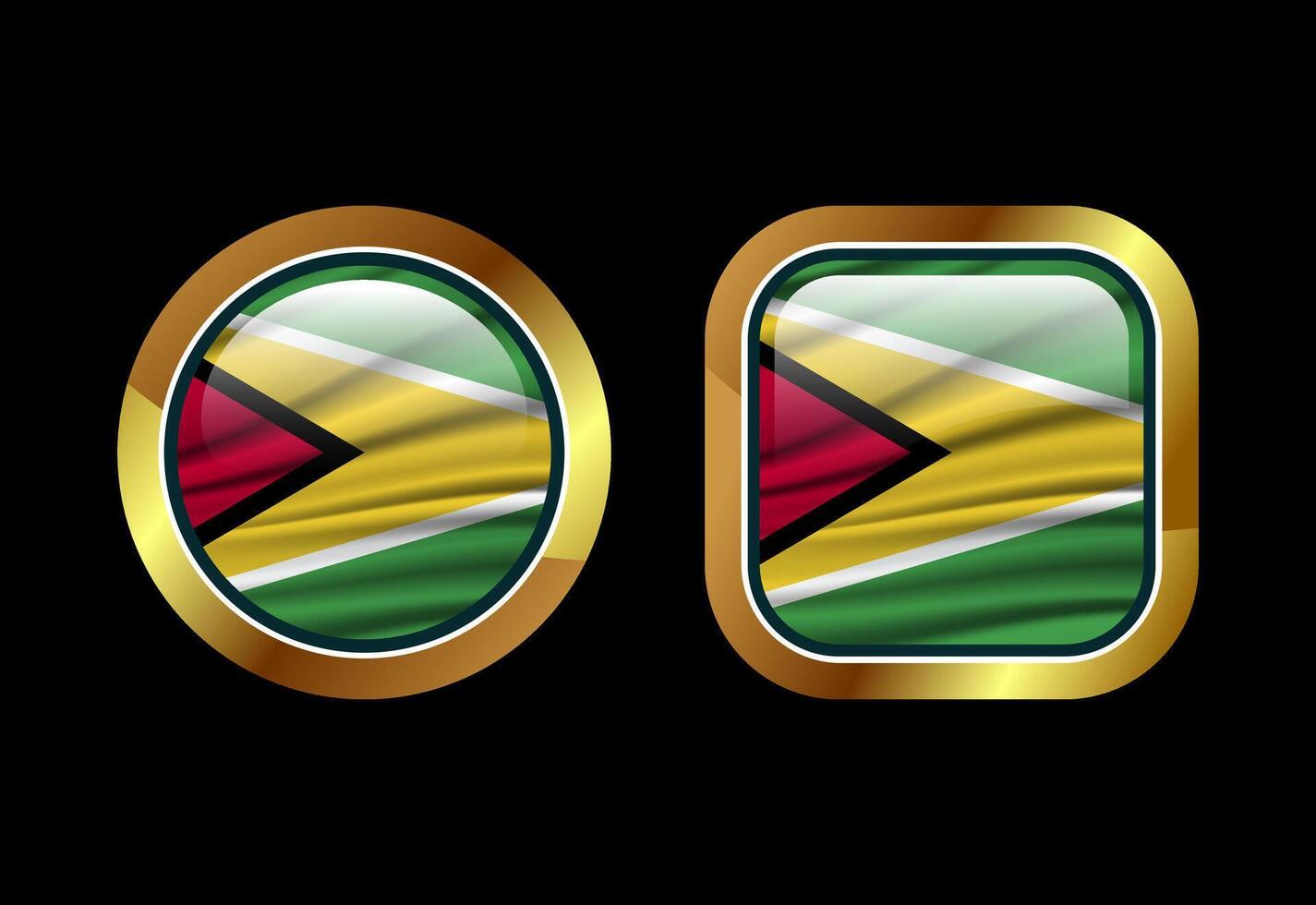 Glossy flag button of Guyana, High quality web button design vector