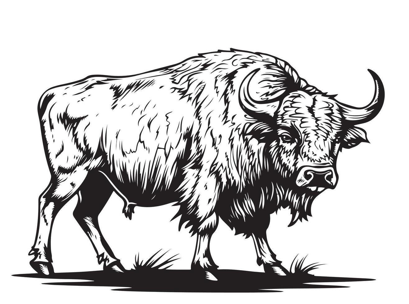 Bull ox sketch hand drawn engraving style illustration vector