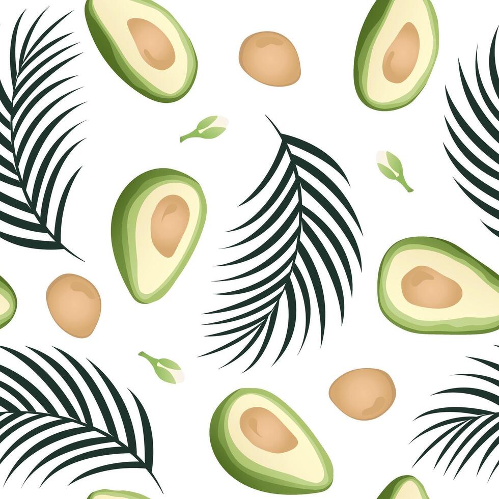 Avocado PALM 1 vector
