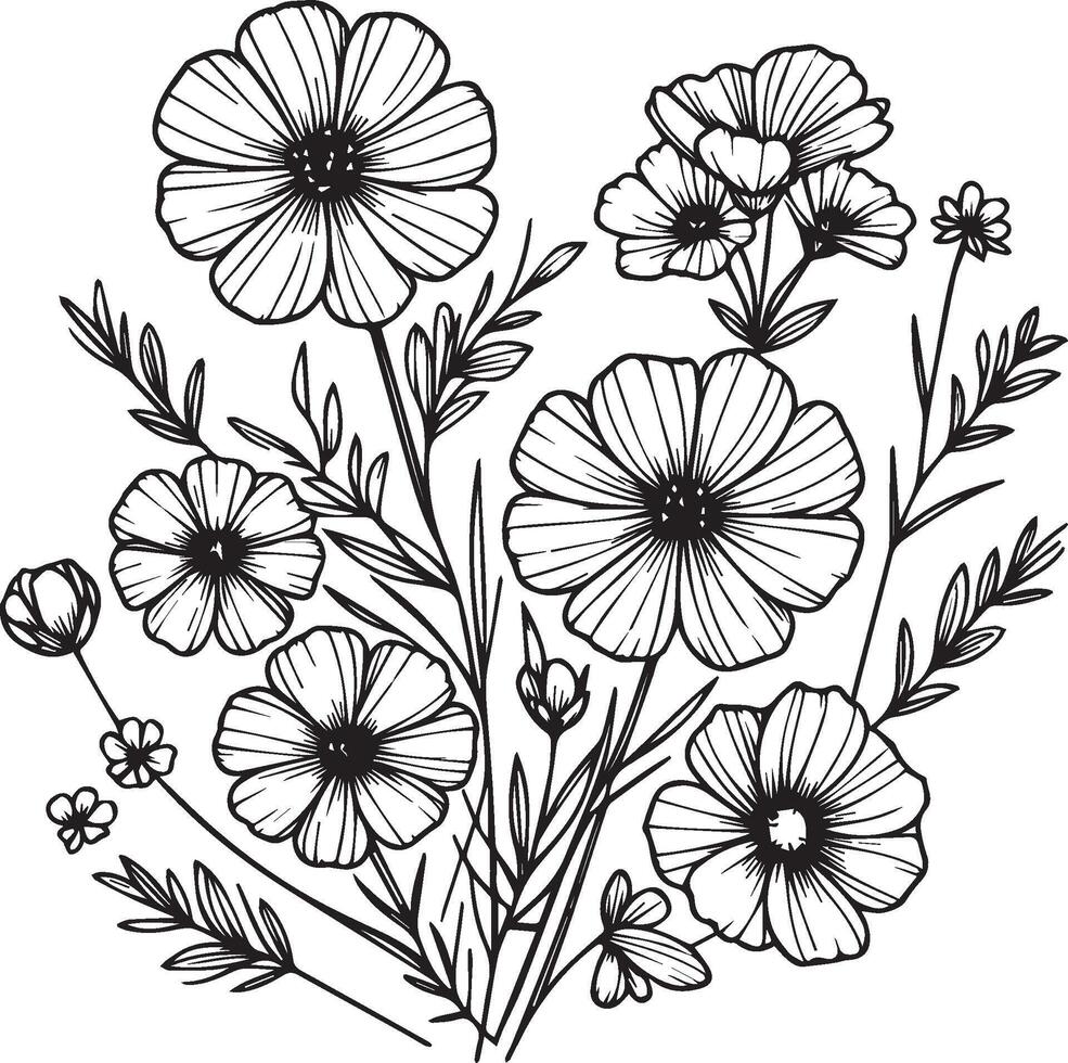Set of a decorative stylized cosmos flower isolated on white background. Highly detailed illustration, doodling and zentangle style, tattoo design blossom cosmos, cosmos flower line drawing vector