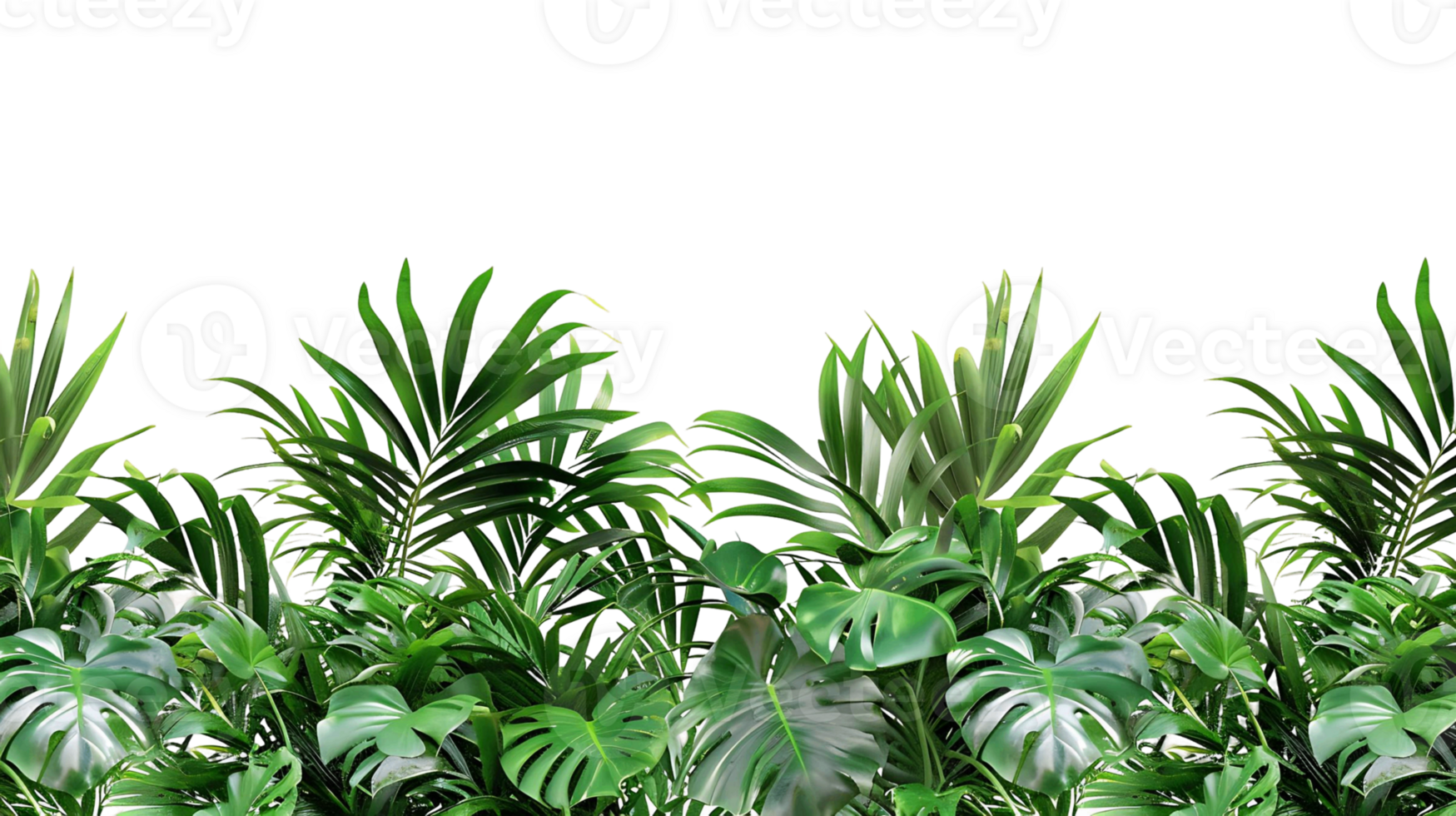 Fresh Green Palm Tree Leaves Isolated on Transparent Background png