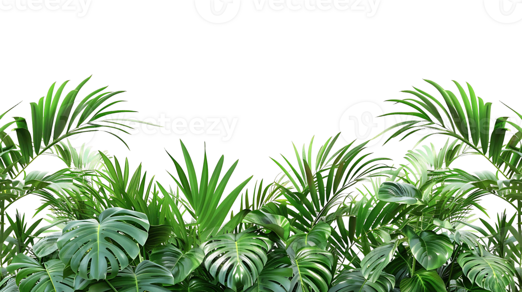 Tropical Palm Tree Leaves Border on Clear Transparent Background png
