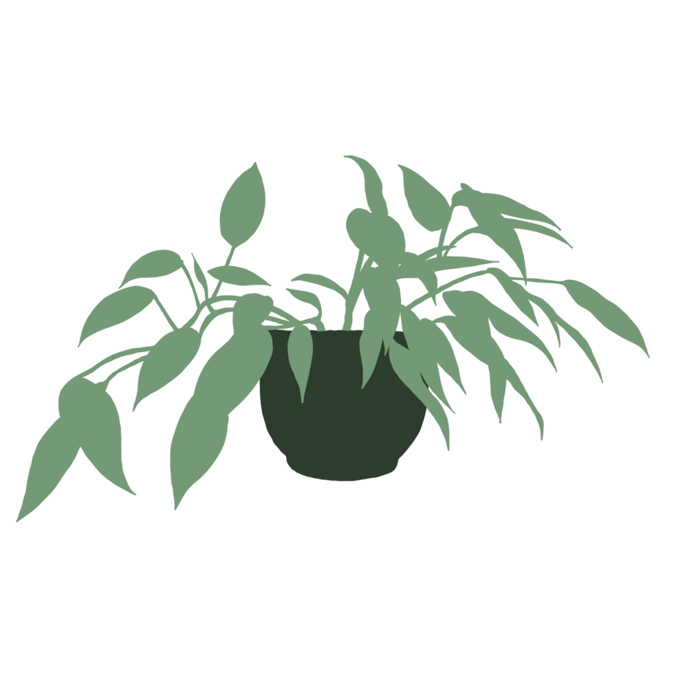 Green plant in pot illustration png