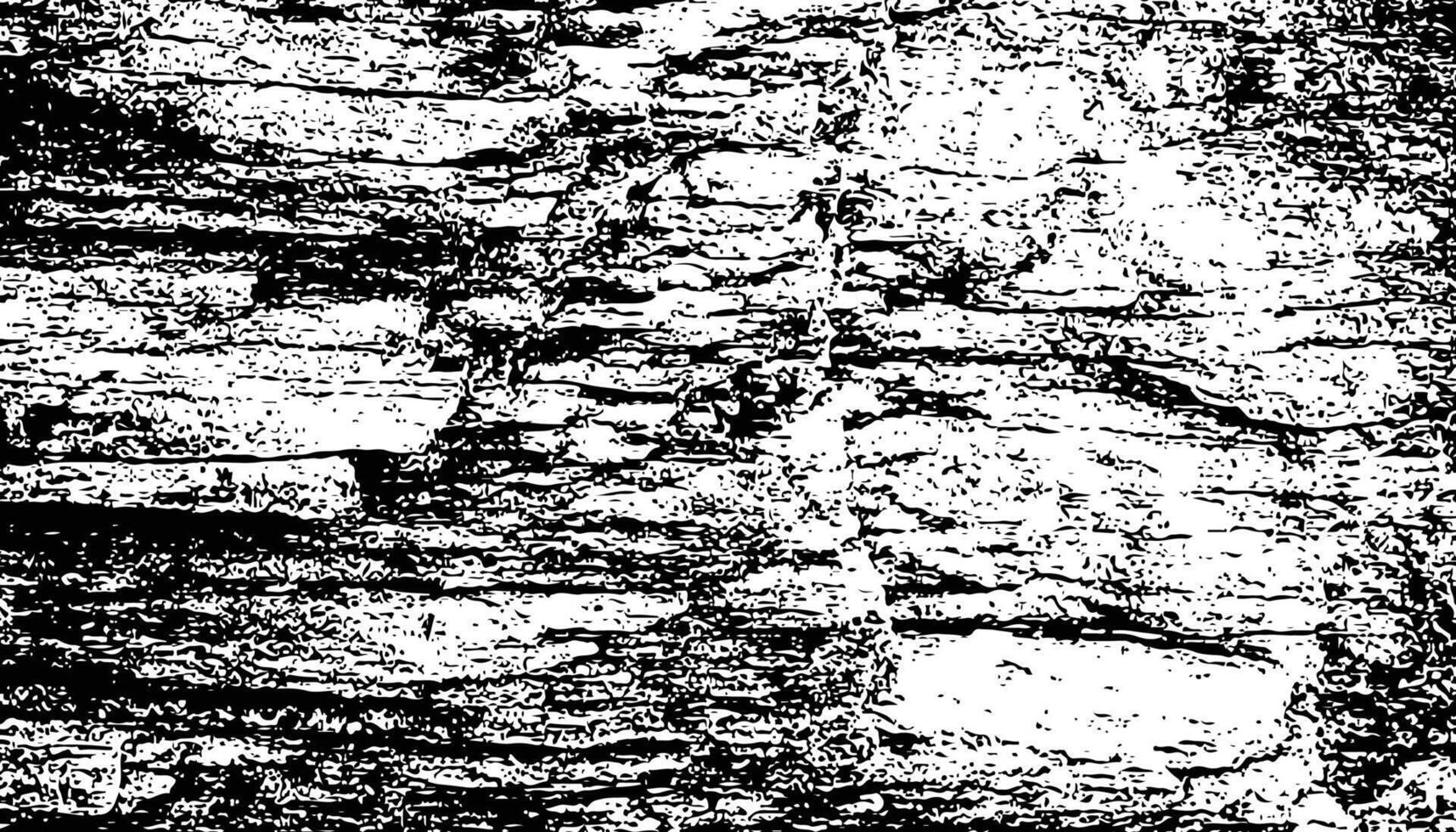 Rough and grunge background black and white vector