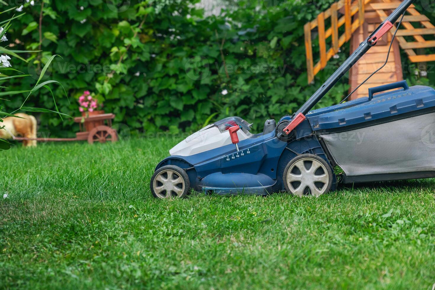 A lawn mower is cutting green grass, the gardener with a lawn mower is working in the backyard, a side view. photo